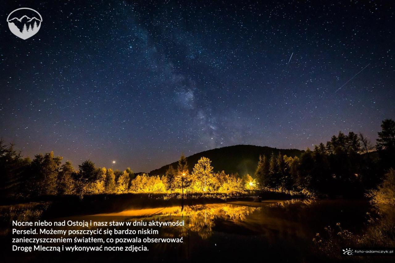 Agroturystyka Leszczynowe Wzgórze Gluszyca Exterior foto