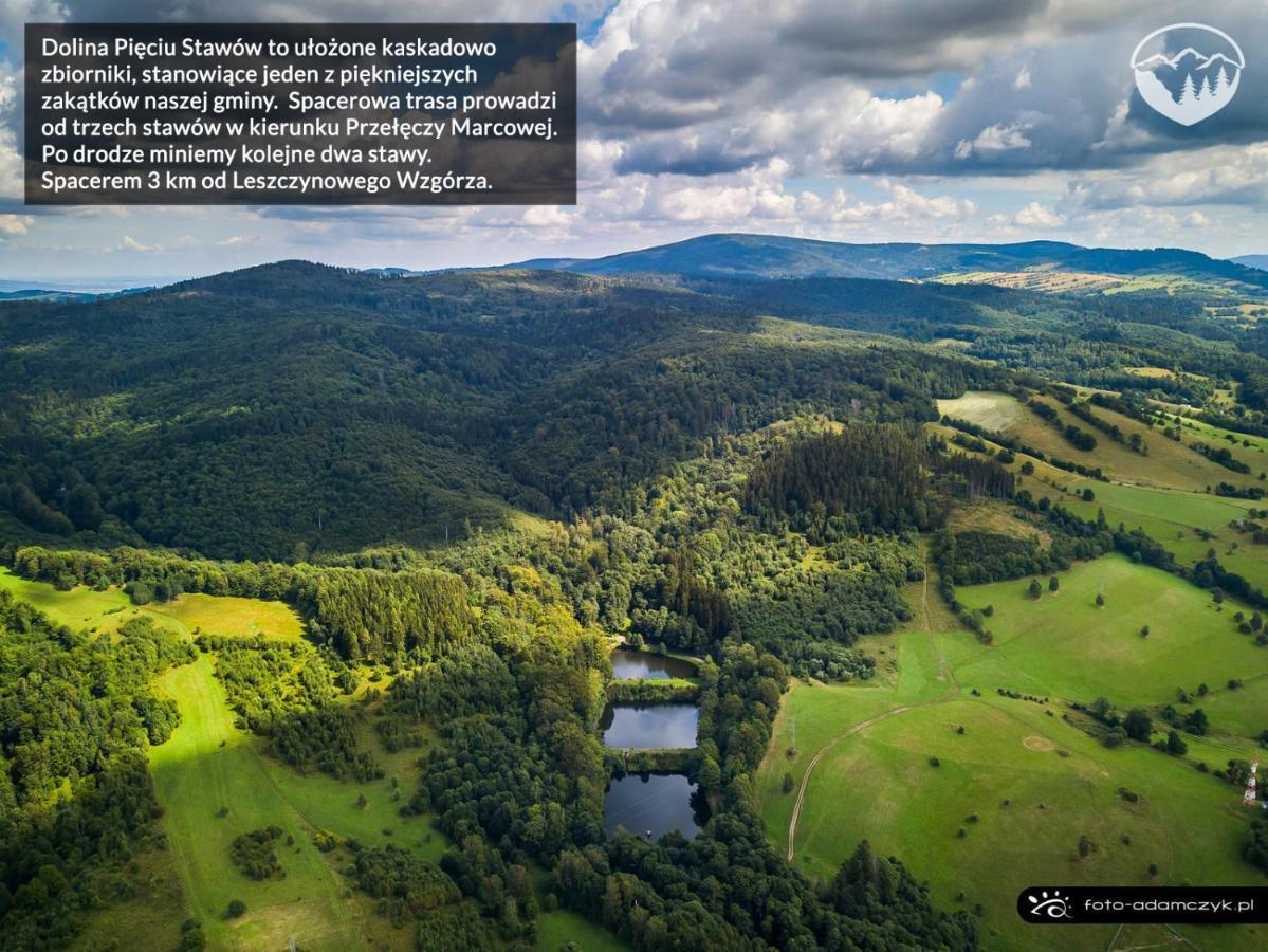 Agroturystyka Leszczynowe Wzgórze Gluszyca Exterior foto