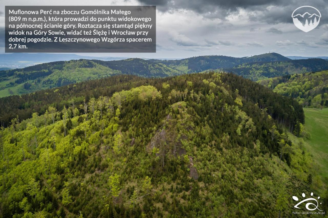 Agroturystyka Leszczynowe Wzgórze Gluszyca Exterior foto