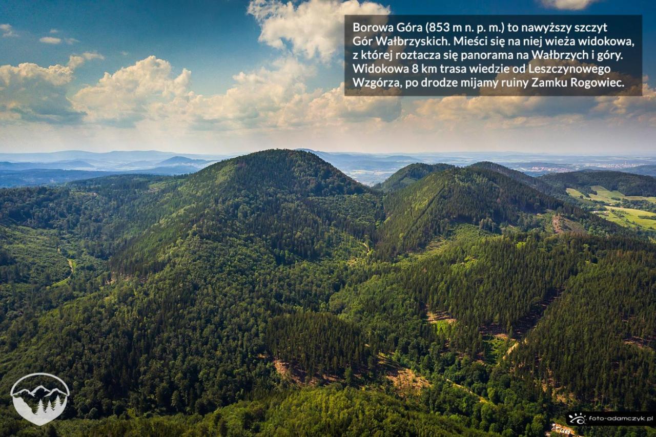 Agroturystyka Leszczynowe Wzgórze Gluszyca Exterior foto