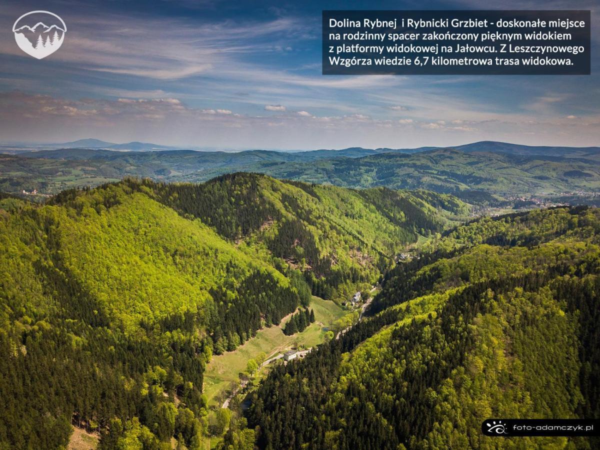 Agroturystyka Leszczynowe Wzgórze Gluszyca Exterior foto